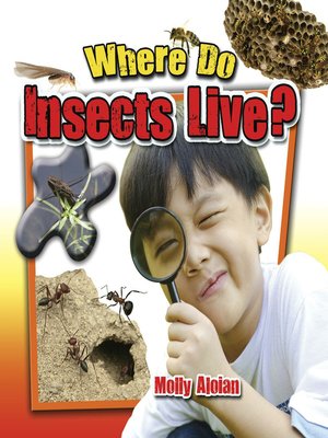 cover image of Where do insects live?